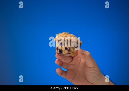 Muffin al mirtillo di mane o cupcake fatti in casa da un maschio caucasico. Primo piano ripresa in studio, isolata su sfondo blu. Foto Stock