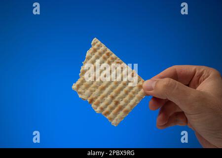 Piccolo pezzo di pesach ebraico tenuto in mano da maschio caucasico. Primo piano ripresa in studio, isolata su sfondo blu. Foto Stock