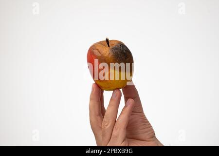 Mela semisottita o rovinata tenuta in mano da una mano maschio caucasica. Primo piano ripresa in studio, isolata su sfondo bianco. Foto Stock