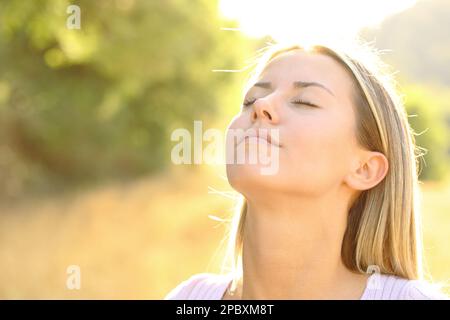 Rilassato bella donna respirando aria fresca in natura Foto Stock