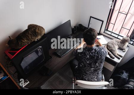 Vista posteriore ad alto angolo di un fotografo freelance maschio irriconoscibile seduto alla scrivania di legno con computer mentre scrivi su una macchina fotografica di carta bianca vicino ad adora Foto Stock