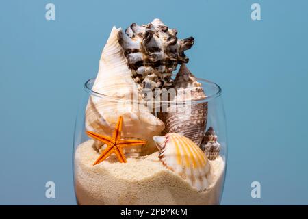 Wineglass trasparente riempito di sabbia sciolta e decorato con conchiglie di varie dimensioni e forme vicino stelle marine poste su sfondo blu Foto Stock