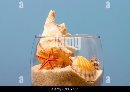 Wineglass trasparente riempito di sabbia sciolta e decorato con conchiglie di varie dimensioni e forme vicino stelle marine poste su sfondo blu Foto Stock