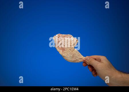 Una coscia di pollo congelata intera tenuta da una mano maschile. Primo piano ripresa in studio, isolata su sfondo blu. Foto Stock