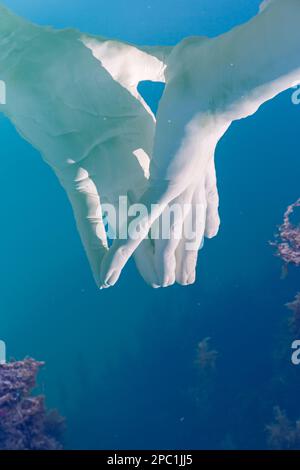 Riflessione di parte della scultura dei ponti dell'artista Lorenzo Quinn raffigurante coppie di mani monumentali a Venezia Foto Stock