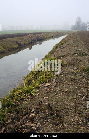 Ruscello d'acqua tra campi con alberi coperti dalla nebbia nella campagna italiana Foto Stock