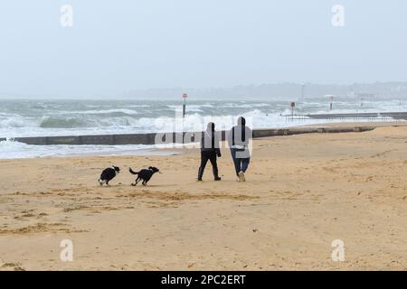 Boscombe, Bournemouth, Dorset, Regno Unito, 13th marzo 2023, Meteo. Forte vento e condizioni tempestose sul lungomare al mattino. Persone che camminano con un cane sulla spiaggia. Credit: Paul Biggins/Alamy Live News Foto Stock