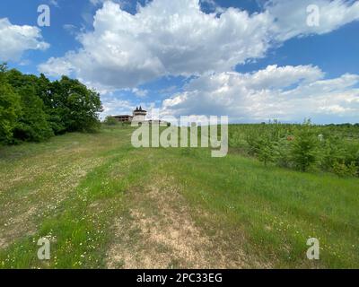 Paesaggio primavera estate prato albero fiori selvatici casa in legno sullo sfondo cortile vino sentiero lillies margherite nuvoloso cielo blu chiaro Foto Stock