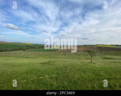 Primavera paesaggio rurale senza fine nel wolds con campi agricoli, fattorie, alberi e siepi sotto un cielo nuvoloso blu Foto Stock