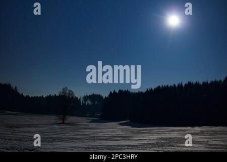 La luna illumina un campo innevato. Foto Stock