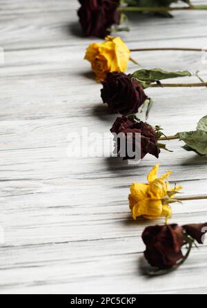Rami secchi di rose su sfondo di legno chiaro con posto per il testo. Biglietto d'auguri con rose secche sullo sfondo Foto Stock