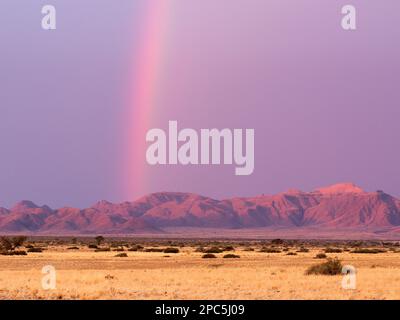 Arcobaleno sul deserto del Namib, Namibia, Africa Foto Stock