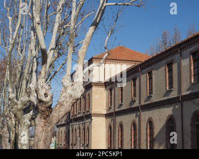 La Certosa ex monastero e ospedale mentale a Collegno, Italia Foto Stock
