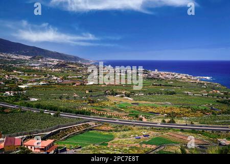 Vista sulla valle di Orotava fino a Teide e Puerto de la Cruz, Tenerife, Isole Canarie, Spagna, Europa Foto Stock