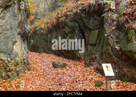 Fotografie del paesaggio dalla Zittau Mountains Jonsdorf Rock Town Foto Stock