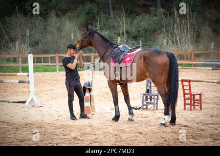 L'amore dell'allenatore di cavalli per i cavalli. L'allenatore di cavalli teneva la balena del cavallo nell'arena di dressage. Anche il cavallo si sniffa i capelli. Foto Stock