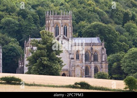 Vista del vecchio edificio abbaziale, con boschi sullo sfondo, Milton Abbey, Dorset, Inghilterra, estate Foto Stock