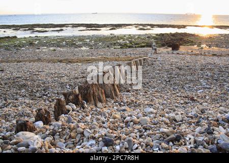 Resti di frangiflutti sulla spiaggia con marea in arrivo all'alba, Bembridge, Isola di Wight, Inghilterra, Regno Unito Foto Stock