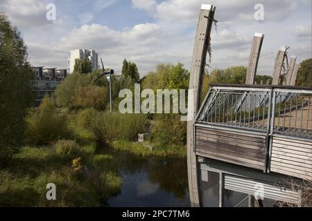 Vista del parco ecologico con habitat paludoso e turbina eolica, il parco ecologico, Mile End Park, Tower Hamlets, Londra, Inghilterra, Regno Unito Foto Stock