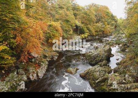 Vista delle rapide tra le rocce del fiume, cascate di Feugh, fiume Feugh, vicino Banchory, Aberdeenshire, Scozia, Regno Unito, Europa Foto Stock