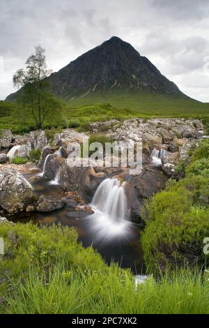Vista della brughiera con piccole cascate in torrente roccioso e montagna sullo sfondo, Stob Dearg, Buachaille Etive Mor, Glen Etive, Highlands, Scozia, Foto Stock