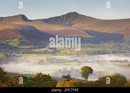 Vista di terreni agricoli e colline all'alba, vista dalla zona di Llangorse (Talyllyn), Brecon Beacons, Powys, Galles, Regno Unito, Europa Foto Stock