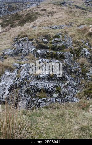 Scala usurata nella miniera di ardesia abbandonata, CWM Pennant, Snowdonia, Gwynedd, Galles del Nord, Regno Unito, Europa Foto Stock