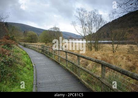 Passeggiata sul lungolago, Lower Lake, Wicklow Way Walking Route, Glendalough Valley, Wicklow Mountains N. P. County Wicklow, Irlanda, Europa Foto Stock