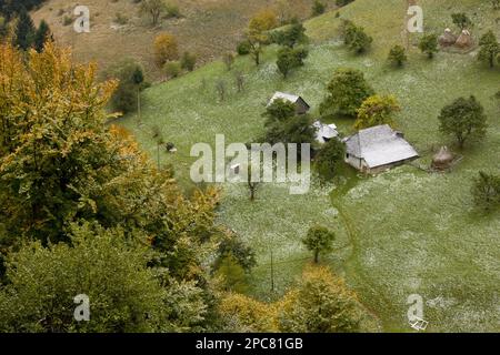 Vista su terreni agricoli tradizionali, con vecchie case, fienili, alberi da frutto e pascoli sotto una leggera coperta di neve in autunno, villaggio Magura, Piatra Foto Stock