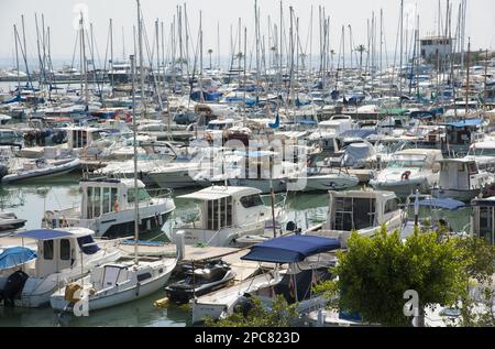 Barche ormeggiate ai moli galleggianti del porto, Port d'Alcudia, Alcudia, Maiorca, Isole Baleari, Spagna Foto Stock