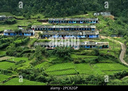 Vista dei lavoratori delle piantagioni di tè che vivono sulla collina, Munnar, Ghats occidentali, Kerala, India Foto Stock