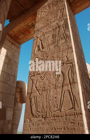 Rilievi su pilastro, il Ramesseum (Tempio mortuario del faraone Ramesses II), Cisgiordania, Luxor, Egitto Foto Stock