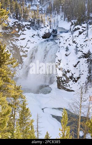 Upper Falls del Yellowstone River Foto Stock