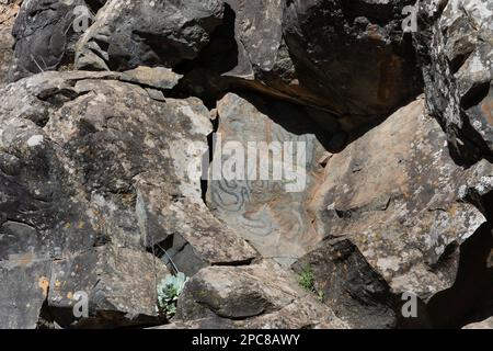 Iscrizioni Rock, El Centerio in Barranco las Canales, El Paso, la Palma, Spagna Foto Stock