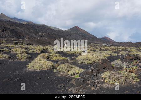 Punta de Fuencalinte, la Palma, Spagna, Europa Foto Stock