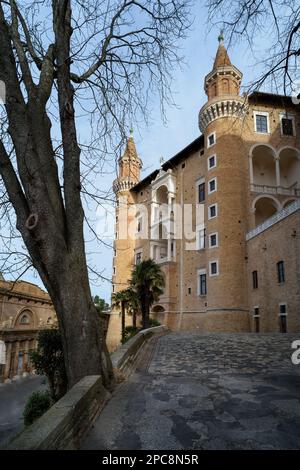 Vista esterna della facciata del Palazzo Ducale di Urbino, antica residenza rinascimentale dei duchi di Montefeltro Foto Stock