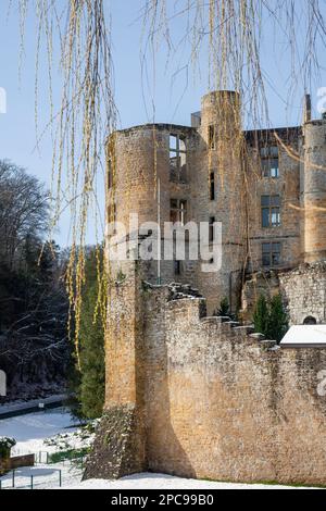 Europa, Lussemburgo, Grevenmacher, Beaufort Castello in inverno attraverso rami Willow Foto Stock