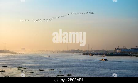 Un gregge di oche vola sopra come smog giallo da forni di mattoni copre il fiume Mekong vicino a Long Xuyen, nel delta del Mekong in Vietnam Foto Stock