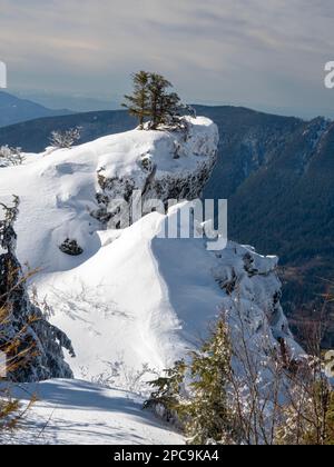 WA23266-00...WASHINGTON - Vista dallo Snoqualmie sul Monte si al Monte Rattlesnake. Foto Stock