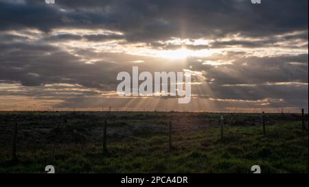 Una vista al tramonto all'Essex Wildlife Trust Thameside Nature Discovery Park. Foto Stock