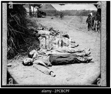 Confederati morti raccolti per la sepoltura, morti confederati disposti per la sepoltura presso la casa della signora Alsop, Spotsilvania, 20 maggio 1864. 722, titolo da oggetto, titolo alternativo, fotografo, e data dal Catalogo degli incidenti fotografici della guerra, dalla galleria di Alexander Gardner.. Di Bob Zeller, pubblicato dal Centro per la fotografia della guerra civile, c2003, montato con 2 altre fotografie con didascalia: Scena dell'attacco di Ewell, 19 maggio 1864, vicino a Spotsilvania [ad esempio Spotsilvania] Court House. Didascalia generale per 6 fotografie sul montone: Dead at Spotsilvania (es. Spotsilvania), Gift; col. Go Foto Stock
