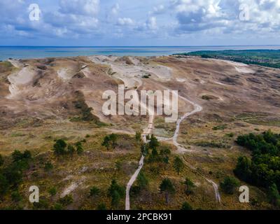 Vista aerea delle dune grigie morte nel parco nazionale e riserva di Curonian Spit, Lituania Foto Stock