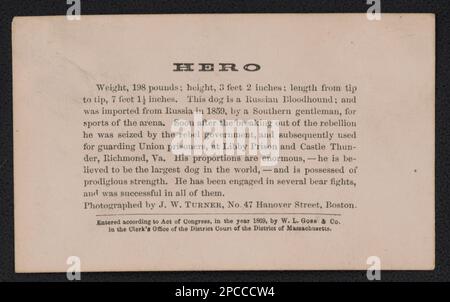 Hero, cane del sangue russo, usato per la guardia dei prigionieri dell'Unione alla prigione di Libby e al Castello di Thunder, Richmond, Virginia / fotografato da J.W. Turner, No. 47 Hanover Street, Boston.. Liljenquist Famiglia Collezione di fotografie della Guerra civile , pp/liljpaper. Prigione di Libby, prigione di Castle Thunder (Richmond, Virginia) , Watchdogs, 1860-1870, Stati Uniti, Storia, Guerra civile, 1861-1865, Animali, Confederato. Foto Stock