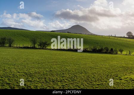 Paesaggio della tranquilla bellezza delle colline ondulate e dei campi verdi sotto la montagna Slemish nell'Irlanda del Nord Foto Stock