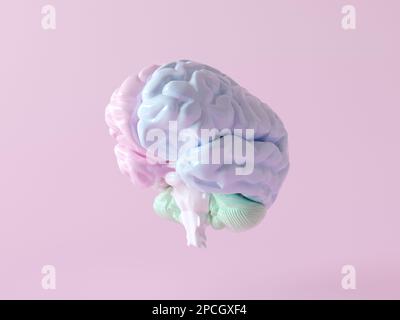 Illustrazione del rendering cerebrale 3D con funzione sinistra e destra e parti di attività isolate su sfondo rosa pastello. Cervello con suddivisioni Foto Stock