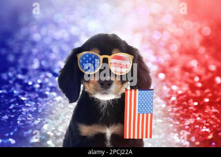 4th luglio - Independence Day of USA. Carino cane con occhiali da sole e bandiera americana su sfondo festivo lucido Foto Stock