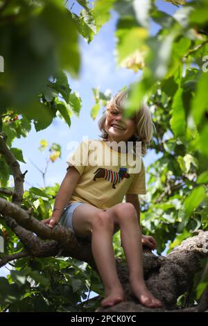 Ragazzo seduto in una struttura ad albero Foto Stock