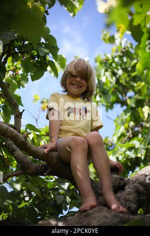 Ragazzo seduto in una struttura ad albero Foto Stock