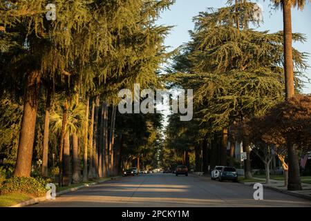 La luce del tramonto splende su uno storico quartiere alberato nel centro di la Verne, California, Stati Uniti. Foto Stock