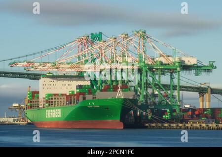 Nave portacontainer Evergreen, sempre vivacissima, attraccata presso i servizi terminal di Everport. Il Vincent Thomas Bridge è sullo sfondo. Foto Stock